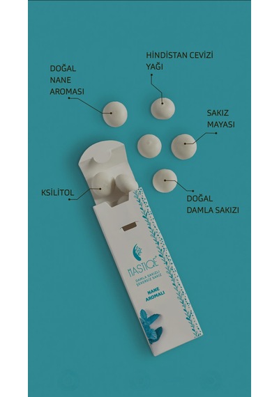 Nane Aromalı Sakız 20g X 2 Adet