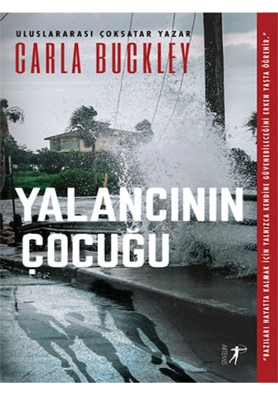 Yalancının Çocuğu - Carla Buckley - Artemis Yayınları