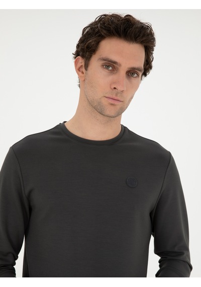 Antrasit Regular Fit Bisiklet Yaka Sweatshirt Gri