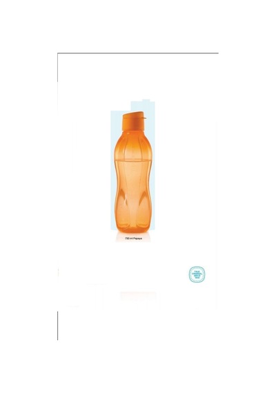 Eco Şişe Suluk 750 Ml 3 Lü Set Lila Turuncu Mavi