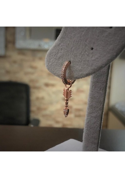 Gümüş Ok Model Taşlı Çift Küpe Cn12t3y Diğer