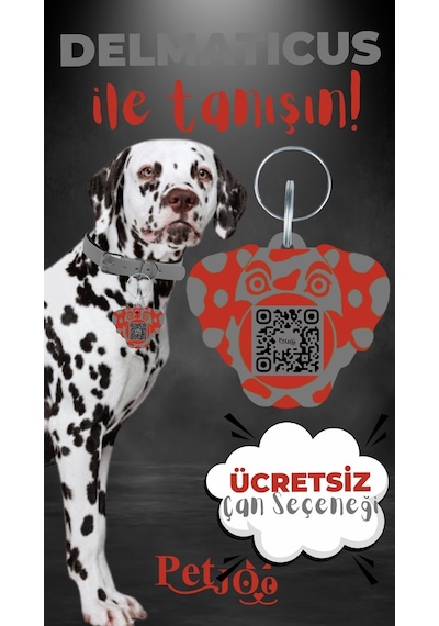 Petjoo 28.Delmaticus Kırmızı-Gri Qr'lı Köpek Künyesi