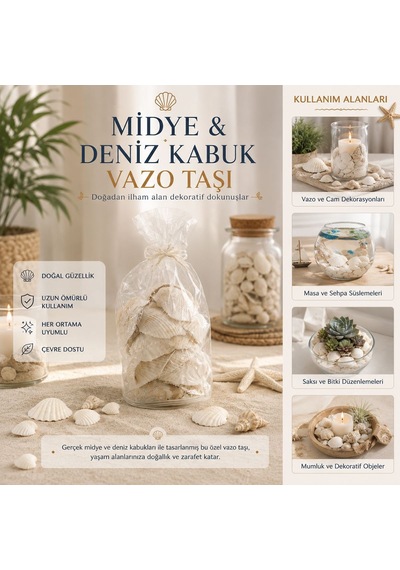 Midye Ve Deniz Kabuk Vazo Taşları Çok Renkli