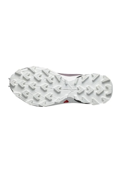 Salomon Alphacross 5 Gtx W Erkek Koşu Ayakkabısı L47311000 001