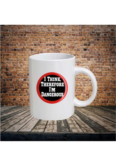 I Am The Danger-Kupa Bardak N11.21293