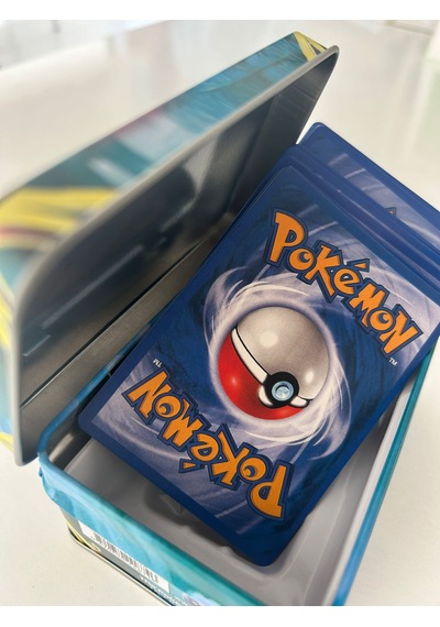 Pokemon Oyun Kartı