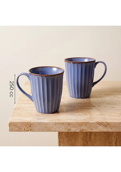 Güral Mavi Rölyef Desenli 2li Porselen Mug Seti Diğer