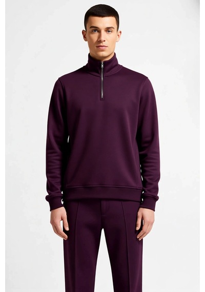 Benerly Erkek Dik Yaka Fermuarlı Standart Kol Regular Kalıp Sweatshirt Fo Mürdüm