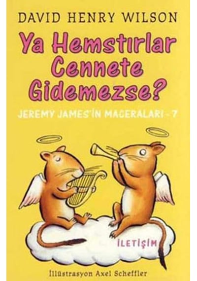 Ya Hemstırlar Cennete Gidemezse? - David Henry Wilson - İletişim Yayınları
