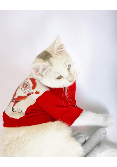 Kemique Santa And Friend Rudolph Kedi Tişörtü Yılbaşı Noel Christmas Kedi Elbisesi