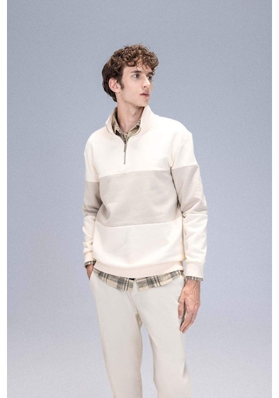 DeFacto Comfort Regular Fit Rahat Kalıp Dik Yaka Fermuarlı Çizgili Kalın Sweatshirt D2401AX24AUER42