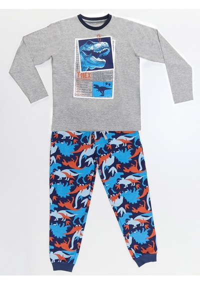 Denokids T-rex Info Erkek Çocuk T-shirt Pantolon Takım
