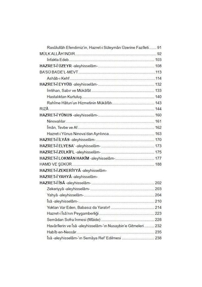 Nebiler Silsilesi -3 (Genişletilmiş Baskı) / Osman Nuri Topbaş