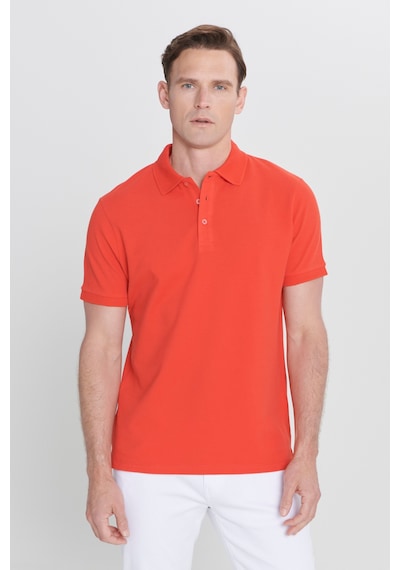 AC&Co / Altınyıldız Classics Erkek Nar Çiçeği Slim Fit Dar Kesim Polo Yaka %100 Pamuk Tişört 4A4820200001NCCXL Narçiçeği AC&Co / Altınyıldız Classics Erkek Nar Çiçeği Slim Fit Dar Kesim Polo Yaka %100 Pamuk Tişört 4A4820200001NCCXL Narçiçeği