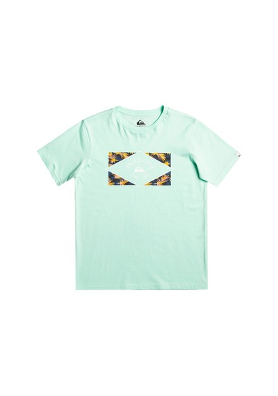 Quiksilver Cırcledlıne B Tees Turkuaz Mint