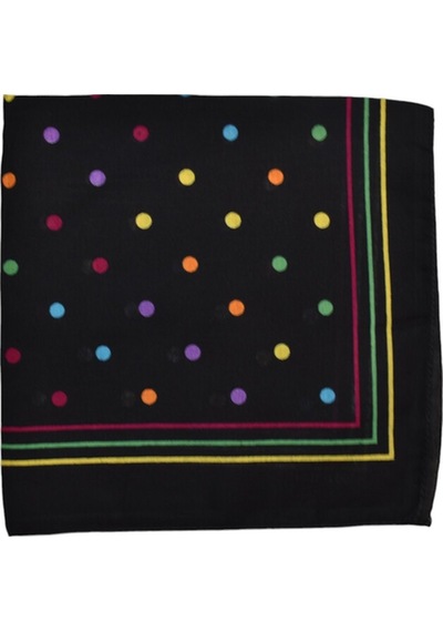 Bandana Puantiyeli Çok Renkli