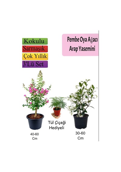 Pembe Oya Ağacı+ Arap Yasemini + Tül Çiçeği Hediyeli