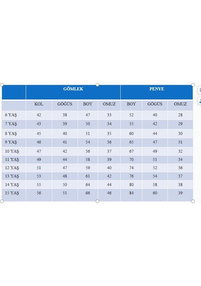 Pina Kids Erkek Çocuk Çıtçıtlı Gömlek Tişört Üst Takım Siyah
