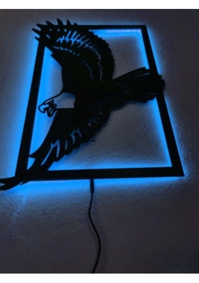 Kartal Led Işıklı Tablo