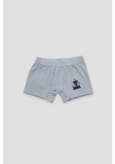 Defne Baby Erkek Çocuk Desenli Premium Pamuklu 2'li Boxer Seti Çok Renkli