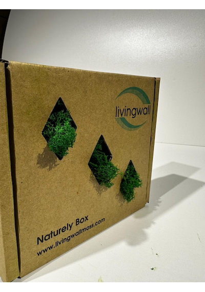 Reindermoss Şoklanmış Norveç Yosunu Terarium Yosunu Grass Green 100 Gr.