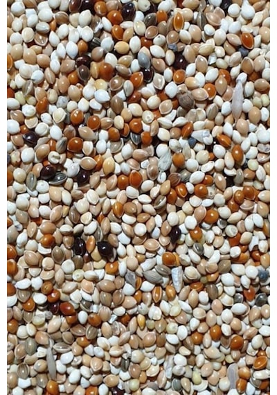 Aksenbirstore Karışık Kaliteli Lüks Özel Muhabbet Kuşu Yemi 5 KG