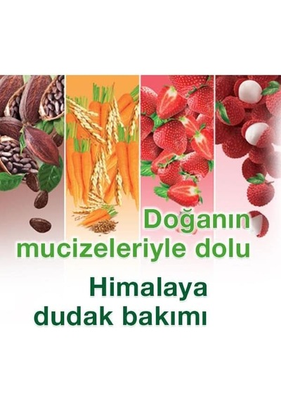 Himalaya Parlatıcı Dudak Kremi, Lip Balm, Çilek, Kayısı Çekirdeği Yağı, Nemlendirici,%100 Doğal Renk, Silikon İçermez, 4,5 Gr