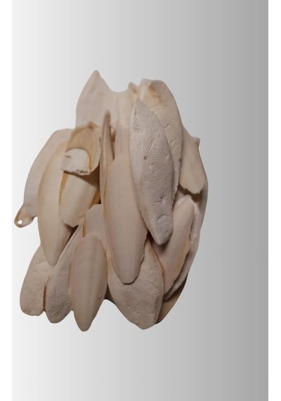 Kalamar Kemiği 100 Gram, Kırıklı Ve Ufak Boy