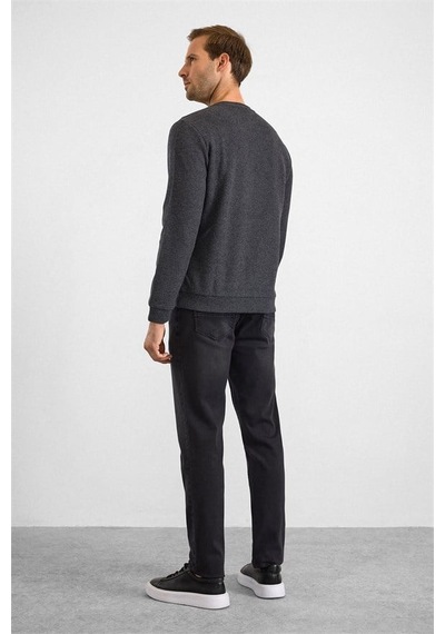 Süvari Antrasit Regular Düz Bisiklet Yaka Sweatshirt Ssw2013700003-s08