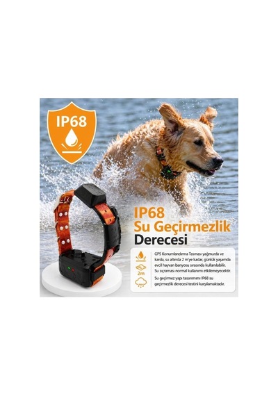 Kablosuz Köpek Çit Gps Av Köpeği Takip Ve Eğitim Cihazı