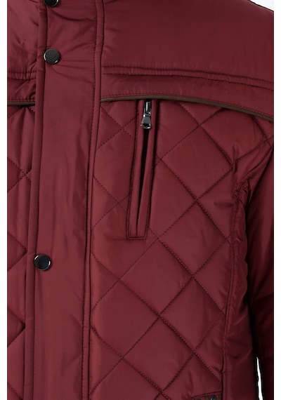M8616 Dewberry Erkek Mont-bordo