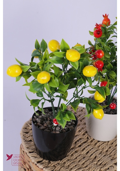 Yapay Çiçek Sitesi Plastik Saksıda Yapay Mini Limon & Nar Tanzimi 2 Li Set 33 Cm Çok Renkli