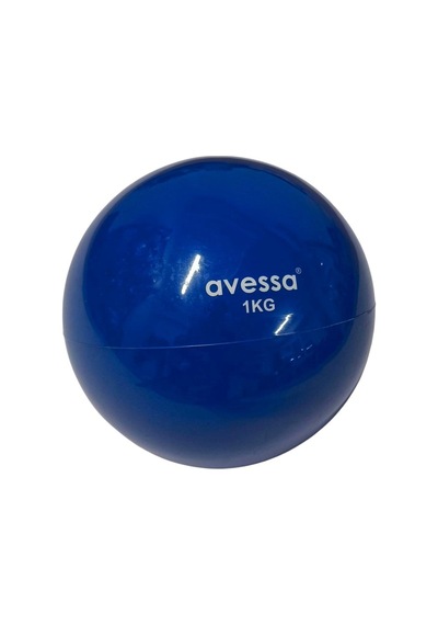 Premium Ptb-20 Plates Toning Ball 1 Kg Mavi Form Bireysel Salon