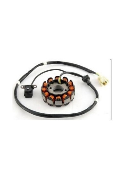 Fızzy 125 Stator ınal