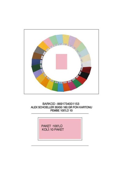 Alex Schoeller Fon Kartonu 160 Gr 35x50 10 Pembe Çok Renkli