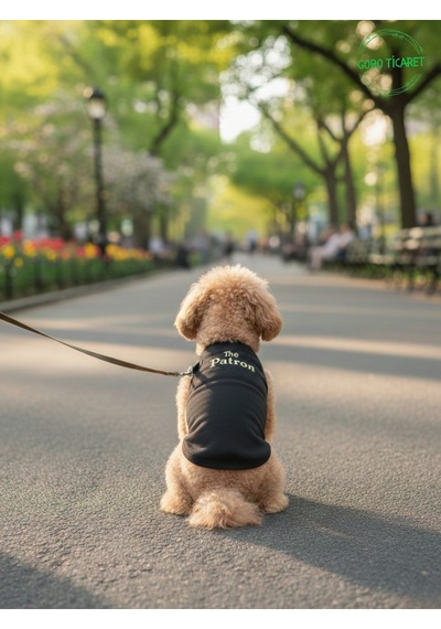 Siyah The Patron Yazılı Kedi Ve Köpek Kıyafeti Tişörtü Elbisesi Medium/m/beden 2