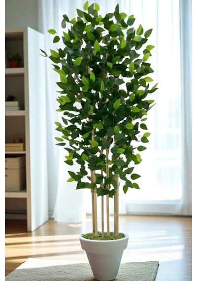 120 Cm Benjamin 5 Çubuklu Beyaz Plastik Saksı Yeşil