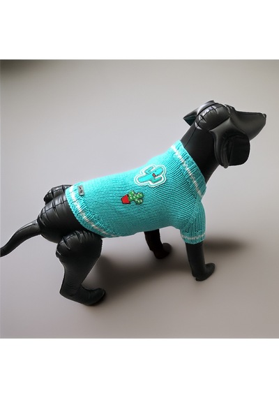 Köpek İçin Kaktüslü Turkuaz Kazak