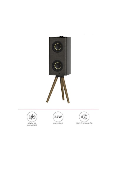 Torima D67 24 W 3000 mAh Kablosuz Taşınabilir Ayaklı Hoparlör