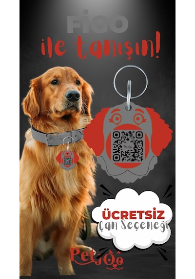Petjoo 27.Figo Kırmızı-Gri Qr'lı Köpek Künyesi