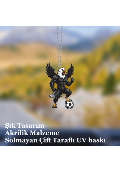Araba Ayna Süsü, Araba Süsü, Çanta Aksesuarı - Kartal - Pleksi Malzeme, Uv Baskılı - 044 8x6 Cm
