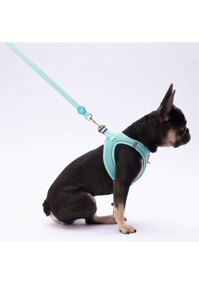 Pawstar L09 Mint Sevk Kayışı Çok Renkli