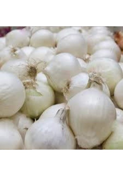 Beyaz Kışlık Kuru Soğan Tohumu 20 Adet..