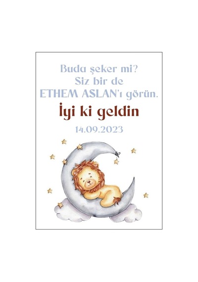 Aslan Konseptli Etiket Hediyelik Etiket - 5x7 CM Dikdörtgen Düz Kesim - 30 Adet Opak Etiket Renkli