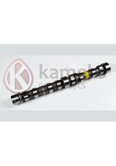 Eksantrik - 338 - Mili Egzoz Bıpper 10- Nemo 10-doblo 10- Egea 16- Punto 12- 500 L 12- 95bg 1.3 Jtd - Dpmıx-hb - Euro5 Do Eksantrik Mili