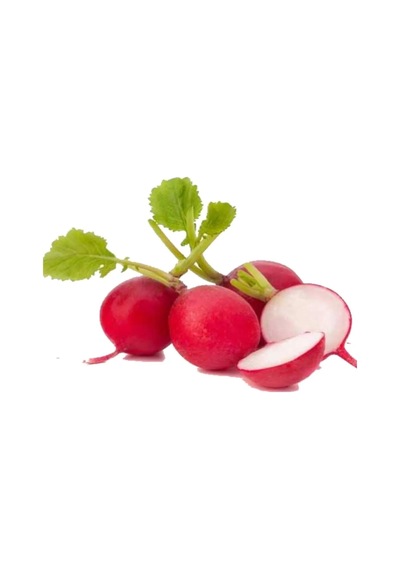 Kırmızı Turp Tohumu 10 GR