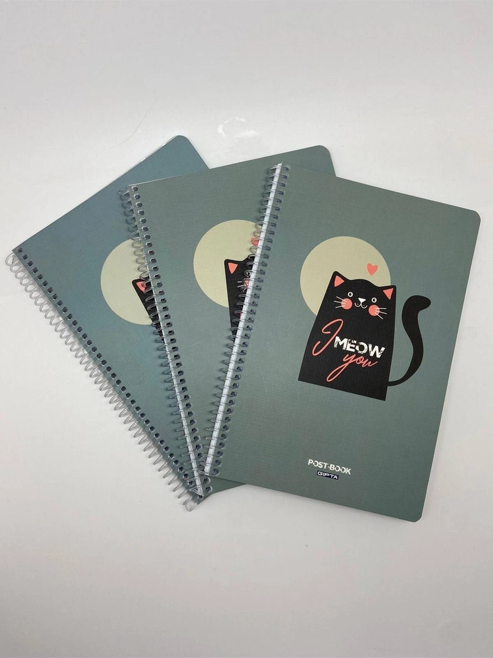 Post-book Spiralli Karton Kapak 17x24 80 Yaprak Kareli Defter 3'lü Meow