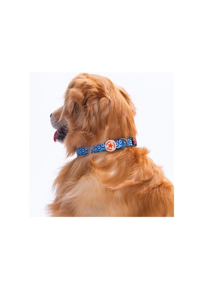 Charm Nazar Boncuğu Desenli Köpek Boyun Tasması Ayarlanabilir Köpek Tasması S Mavi