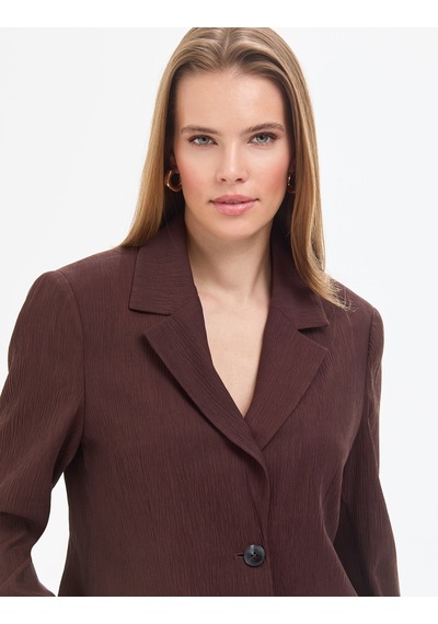 Pierre Cardin Kadın Kahverengi Ceket 50324082-vr029