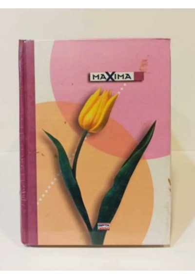Gıpta Maxima 12x17 Dikişli Sert Kapak 160 Yp. Çizgili Çok Renkli